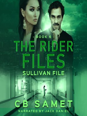 cover image of Sullivan File